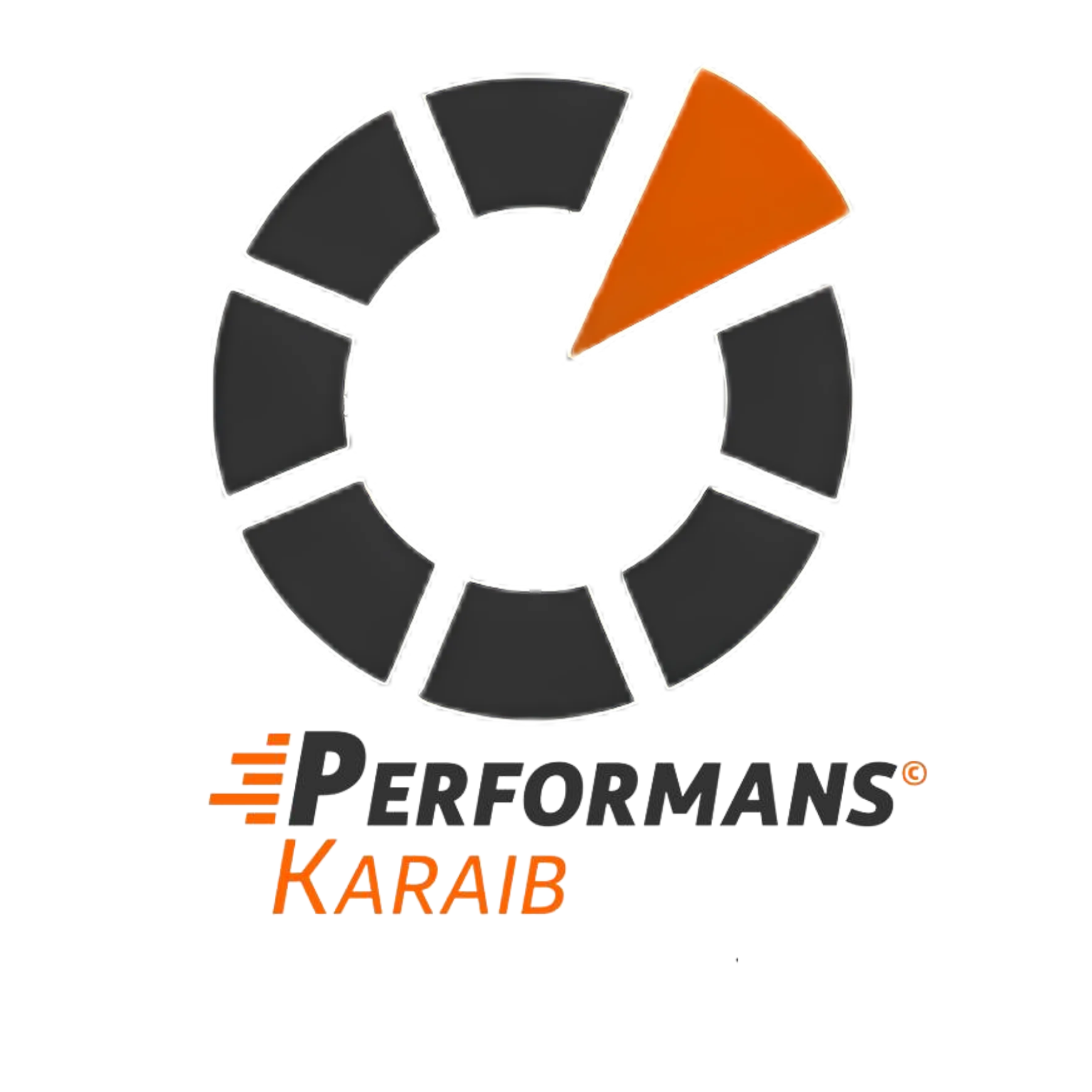 Performans Karaib Logo